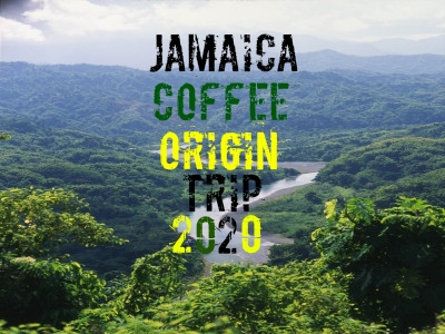 JAMAICA BLUE MOUNTAIN COFFEE ORIGIN TRIP 2020