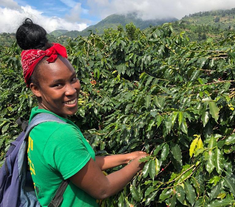 Coffee Farmers to Be Prioritised – Minister Green