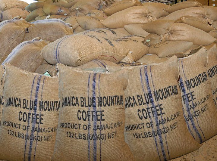 Jamaica Select The ‘Ugly Tomato’ Of The Jamaica Blue Mountain Coffee World