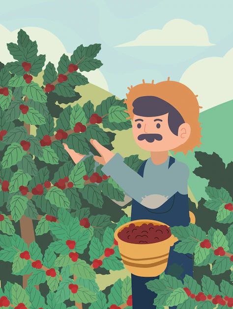 Why the Coffee Industry Needs Its Own Association, Separate from Corporate Interests