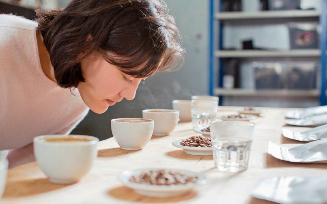 How to Become a Certified Coffee Cupper