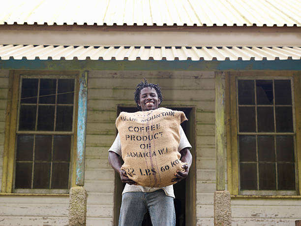 Where to Buy Authentic Jamaica Blue Mountain Coffee in North America – Island Coffee Traders