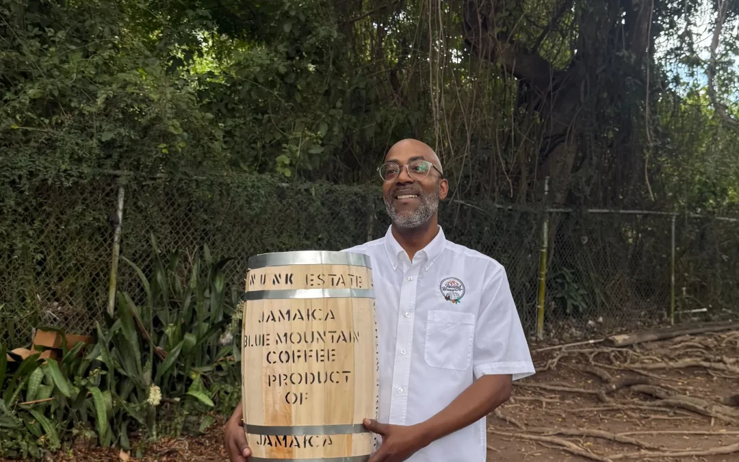 Grounded Ambition: Jay Arabica’s Mission in the Blue Mountains