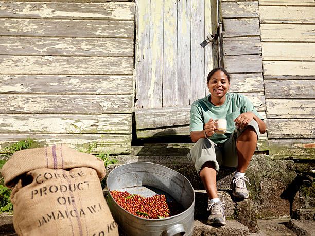 Jamaica Blue Mountain Coffee Origin Report: 2026–2027 Outlook